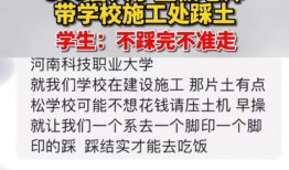 河南高校最新爆料,揭秘校园风云与学子心声